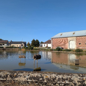 L'As qui tombe à pic