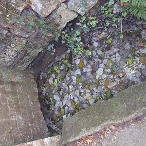 L'As qui tombe à pic