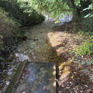 L'As qui tombe à pic
