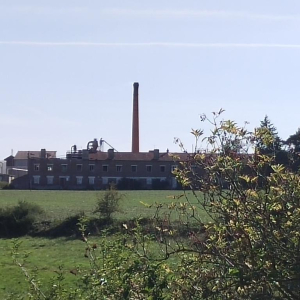 L'As qui tombe à pic