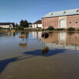 L'As qui tombe à pic