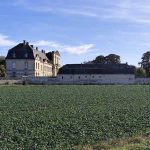 L’écrivain qui a jeté l’ancre