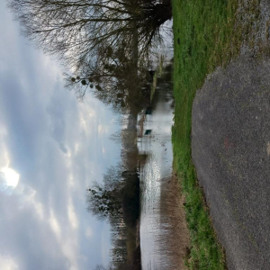 L’écrivain qui a jeté l’ancre...