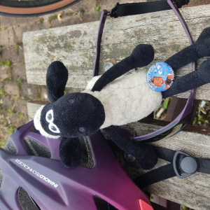 L’écrivain qui a jeté l’ancre...