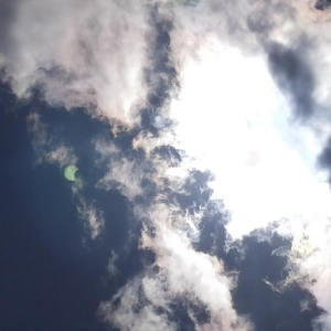 L’écrivain qui a jeté l’ancre...