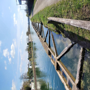 L’écrivain qui a jeté l’ancre...