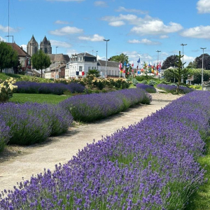 Noyon, complètement sonnée !