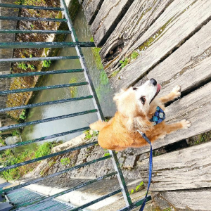 Noyon, complètement sonnée !