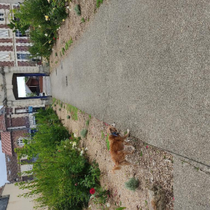 Noyon, complètement sonnée !