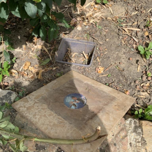 Noyon, complètement sonnée !