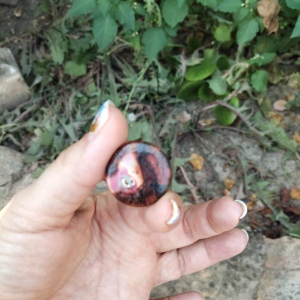 Noyon, complètement sonnée !