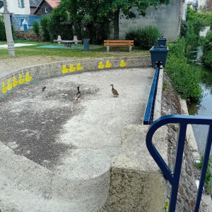 Noyon, complètement sonnée !