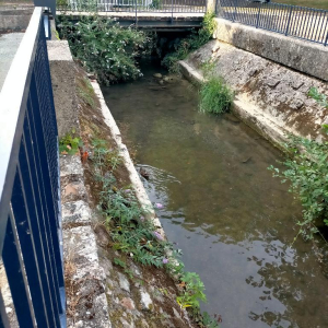 Noyon, complètement sonnée !