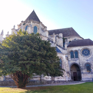 Noyon, complètement sonnée !