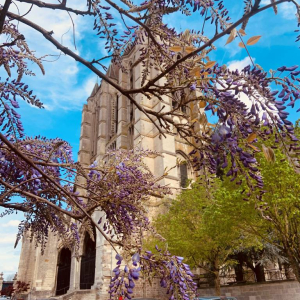 Noyon, complètement sonnée !