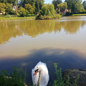 Plein pot en Pays de Bray !
