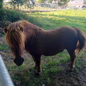 Plein pot en Pays de Bray !