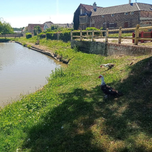 Plein pot en Pays de Bray !