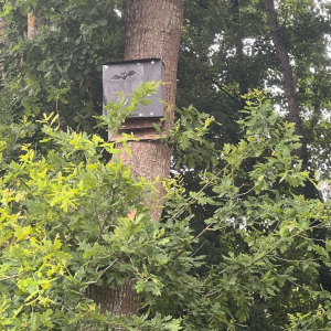 Plein pot en Pays de Bray !