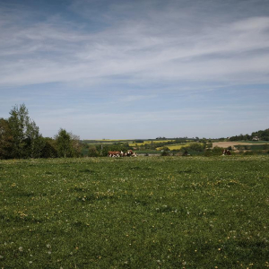 Plein pot en Pays de Bray !