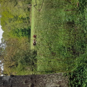 Plein pot en Pays de Bray !