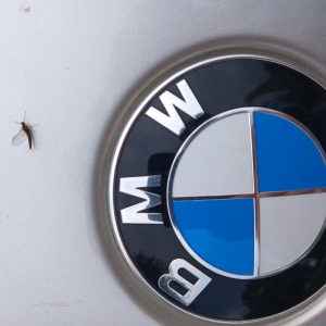 (Sept)monts et merveilles…