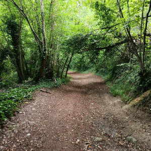 (Sept)monts et merveilles…