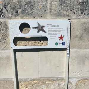 (Sept)monts et merveilles 