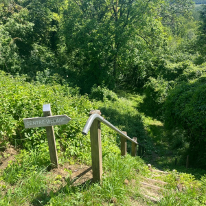 (Sept)monts et merveilles 