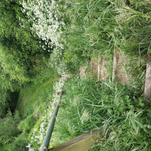 (Sept)monts et merveilles…