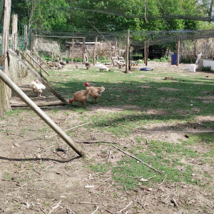 (Sept)monts et merveilles…