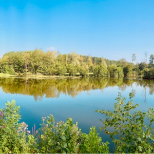 À tire d’aile au fil de l'Oise
