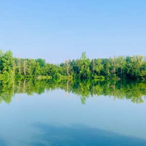 À tire d’aile au fil de l'Oise