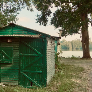 À tire d’aile au fil de l'Oise