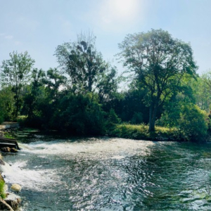 À tire d’aile au fil de l'Oise
