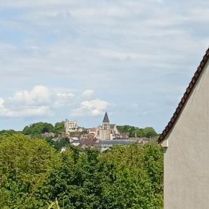 Trou de mémoire pour ma pomme